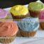 Natural Food Color