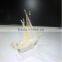 Customized Made Golden Crystal Arab Dhow For Office Decoration And Islamic Souvenirs Gifts
