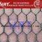 Galvanized Hexagonal Wire Mesh (Factory & Exporter)