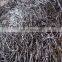 common nail carbon steel wire nail