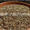 Frist Quality Organic Ajwain Seeds At Your Door Step