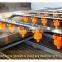 Industrial Air Bubble Vegetable Washing Machine Line  Automatic Fruit Leaf Vegetable Washing Machine