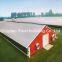 Popular Low Cost Galvanized Prefabricated China Steel Structure Project Poultry Farms Chicken Coop House