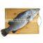 china frozen sea bass fish frozen seabass fish barramundi fish