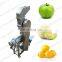 Industrial Fruit Orange Juice Crushing Extractor Fruit Press Screw Juicer Machine