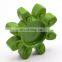 Anti-vibration Gr Gs Mt T Polyurethane Pu Elastic Spider For Shaft Coupling Rotex Element For Coupling