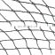 Plastic Anti Bird Netting for agriculture