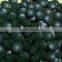 Price of Spirulina Tablets in Bulk