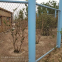 Stainless Steel Woven Flexible Zoo Cages Mesh Fence Wire Rope Cable Netting
