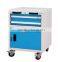 metal storage cabinet with bins