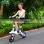 mini Folding Electric Bike, two wheels self balance scooter with handle