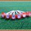 Special Design Beautiful Unique Golf Tees for Gifts
