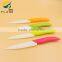 YangJiang manufacture colorful handle 5 inch Ceramic Paring knife