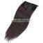 Factory Price 8A Quality Clip in Remy Hair Extension in Stock