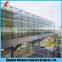 processed Glass Auto glass/building glass/ safety glass Clear Tempered Glass