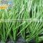 Good Synthetic grass for soccer