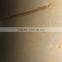 17MMX1220X2440 UV white birch plywood