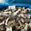 New Crop Frozen Porcini Mushroom
