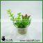 PVC Artificial Potted Grass Plastic Bonsai in Glass Terrarium for wholeselling