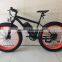 Hot sale 26" aluminum alloy fat bike wheel , brushless motor electric fat bike 36v 250w ,electric fat tire bike