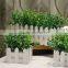 Competitive price potted artificial mini plant for home decorations
