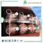 DOT3AA Standard OD229mm 50L 250bar CNG Storage Cylinder