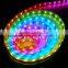 2016 Dimmable High Quality 5050 Rgbw Led Strip Flexible in Stock for Christmas