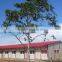 steel structure dormitory china