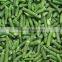 New crops IQF Frozen long beans cut