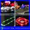  China Best Sell Led Flashing Shoestring