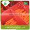 Plush bulk carrot