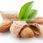 pure natural massage almond oil essential oil