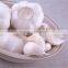 China Garlic Golden Supplier