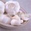 Haccp of China Garlic with High Quality