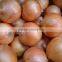 FX-128-3A Full Automatic Onion Skin Removal Machine(Whatsapp:+0086-15123231520)
