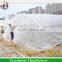 China factory price greenhouse window micro insect mesh