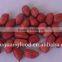 red skin raw peanuts kernel