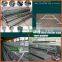 Hot Sale for China Egg Chicken Cage(ISO9001) for Poultry Farming