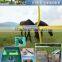 solar electric fence energisers for cattle