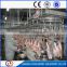 halal poultry slaughter house /poultry plucking machines