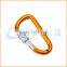 Fashion High Quality carabiner with lanyard and keyring