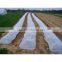 landscape fabric for agriculture and gardening