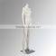 Fashion window sexy headless sitting female mannequins stand