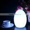Multi-color Change Decorative LED Table Lamp for Home Hotel Bar