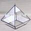 2016 most fashionable Clear Glass Prism Air Plant Terrarium / Tabletop Succulent Plants Holder Home Decor Flower Pots
