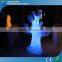 rgb illuminous garden floor lamp / home decorative light with Wireless DMX Control