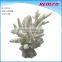 Polyresin Artificial Coral For Aquarium Decoration