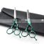 Best Hair Barber Scissors Kit With High Quality , Professional Hair Scissors Wholesale