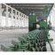 Roller Conveyor Pipe Shot Blasting Machines