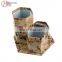 Shantou Shicheng Office&school Cardboard Stationery Set
